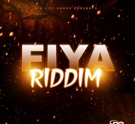 Big Citi Loops Fiya Riddim WAV